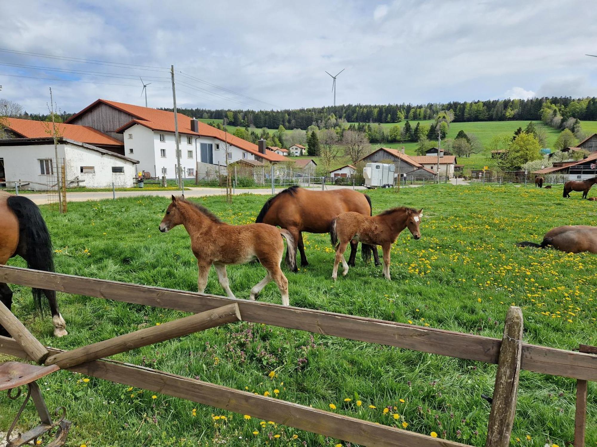 Auberge Du Peu-Pequignot Le Noirmont Екстер'єр фото